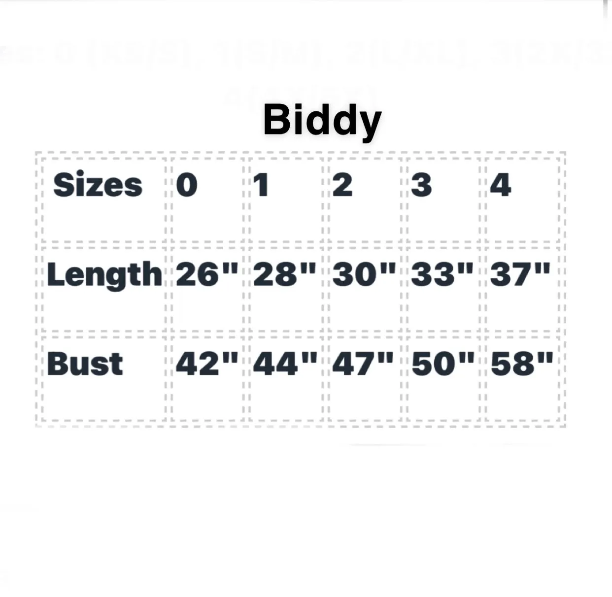 Biddy- Tunic Tank with Fun Pleating Detail,Women Wear
