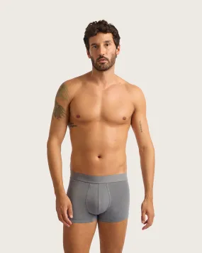 Men's Everyday Boxer Briefs - Ash,Men Underwear